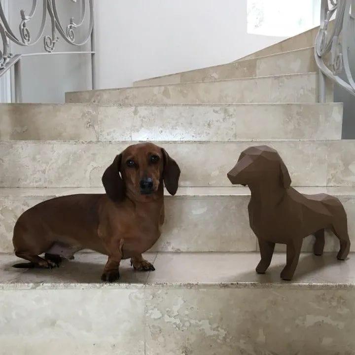 Real dog 7
